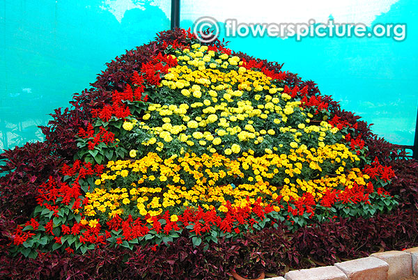 Flower mountain lalbagh bangalore flower show 2016