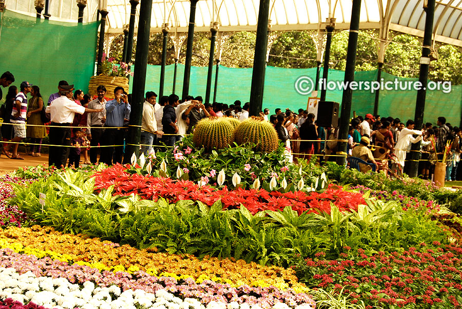 Flowers Circle-Lalbagh