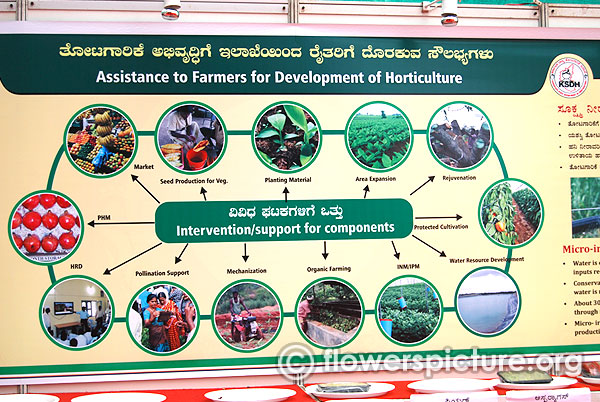 Assistance to farmers for development of horticulture invention for components lalbagh independence day flower show august 2015