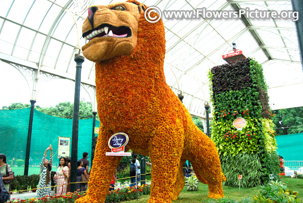 Floral replica of gaint lion