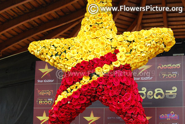 Floral star kannada tv logo