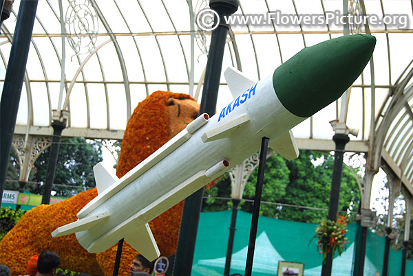 Wooden creation of akash missile