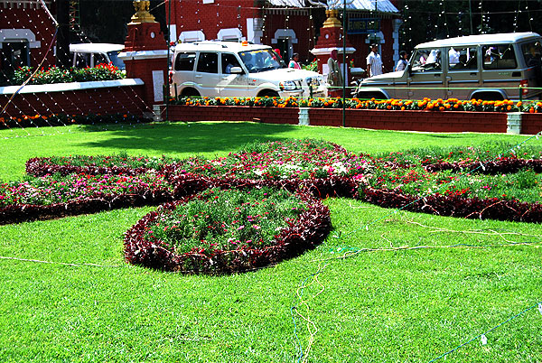 Dianthus flower decoration-Ground cover-Ooty flower show 2014