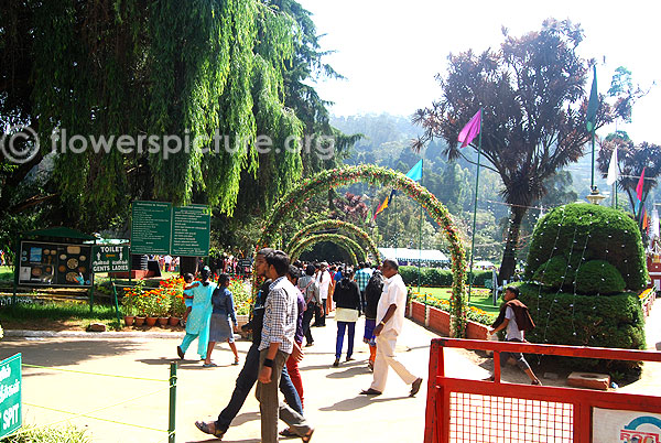Ooty botanical garden-Front decoration for flower show 2014