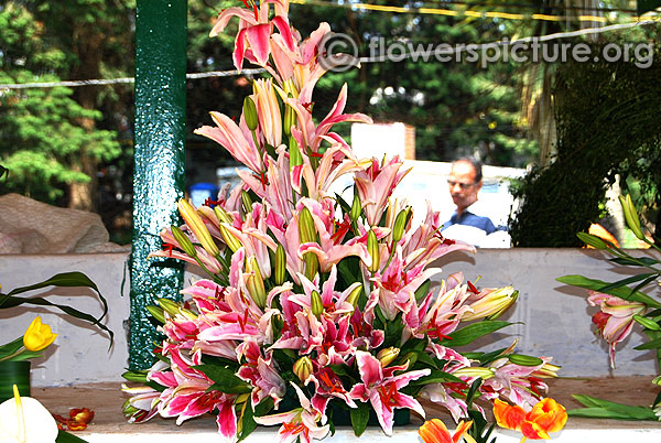 Pink lilies large bouquet