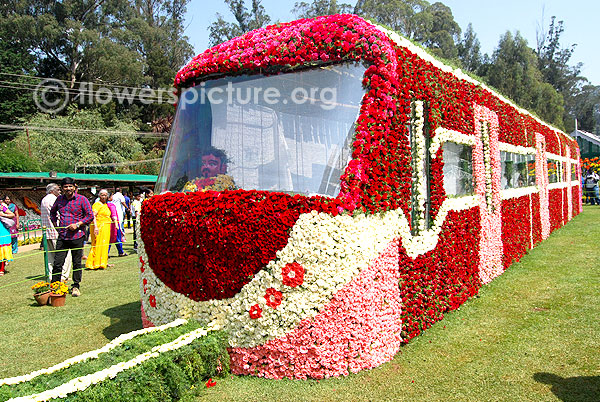 Train decorated with rose dianthus flowers