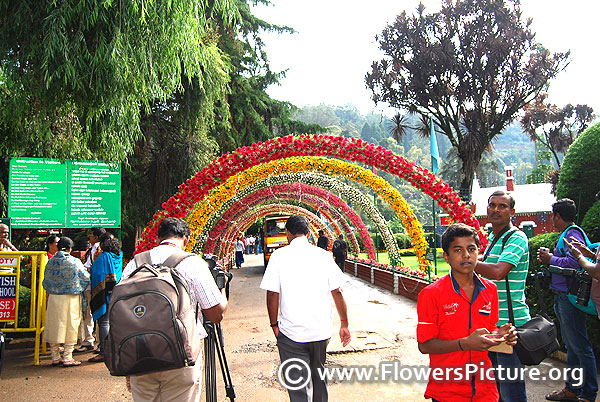 Floral arch summer festival 2017