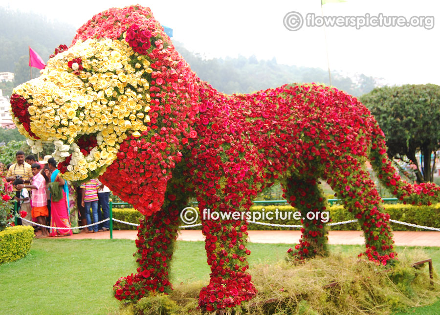 floral lion
