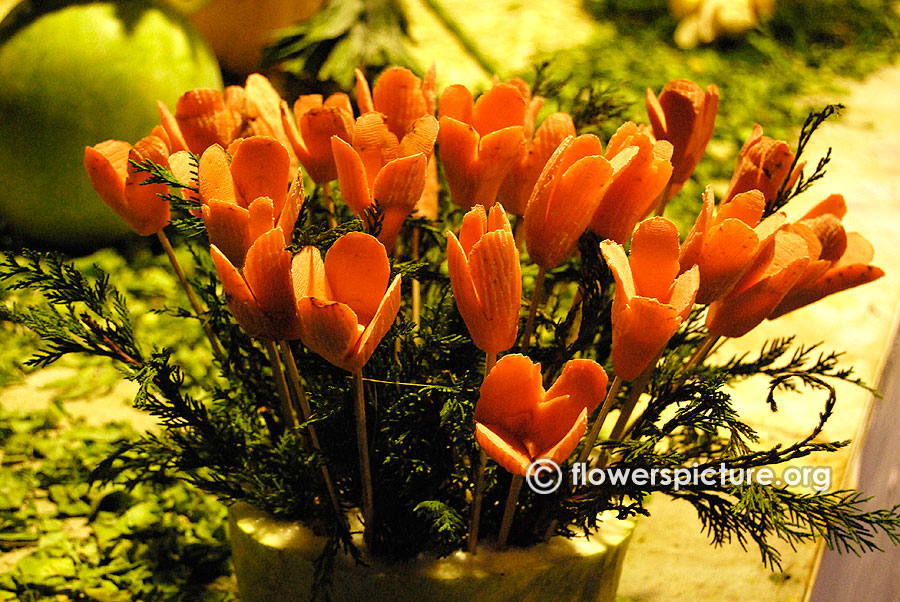 Carrot flower