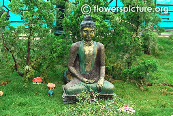 Buddha bonsai garden theme lalbagh jan 2016