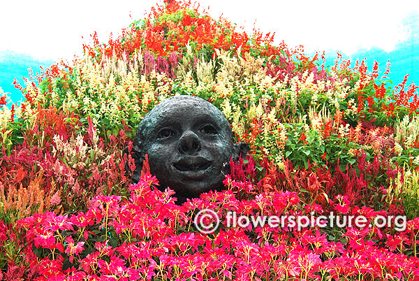 Floral hill lalbagh flower show 2016