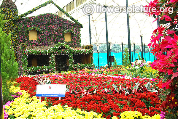 Floral replica of gustav hermann krumbiegel lalbagh flower show 2016