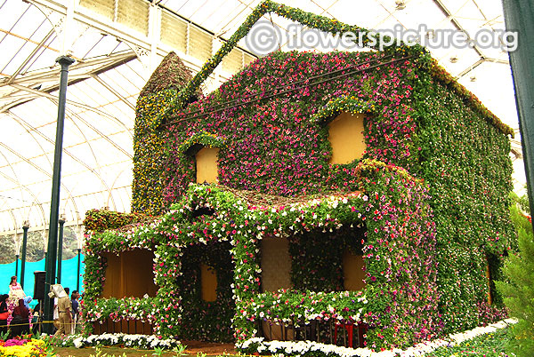 The legend krumbiegel remembered flower show lalbagh bangalore