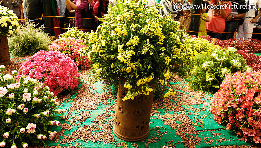 Yellow Flower Bouquet