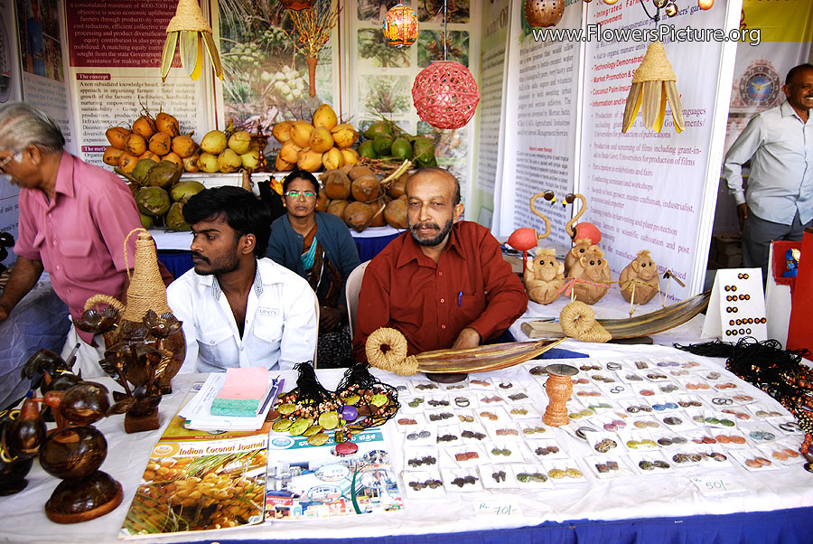 Coconut Things Awareness