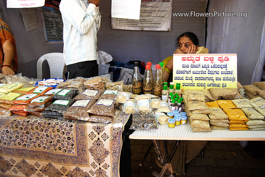 Vegetable Seeds in Bangalore