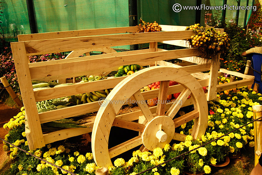 Wooden Fruit Vehicle