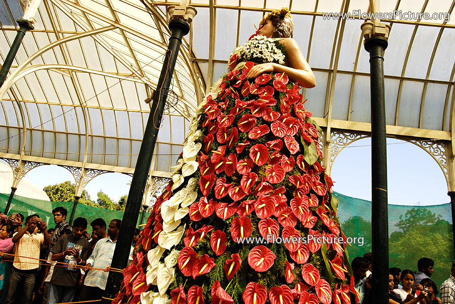 Girl In Anthurium Gown