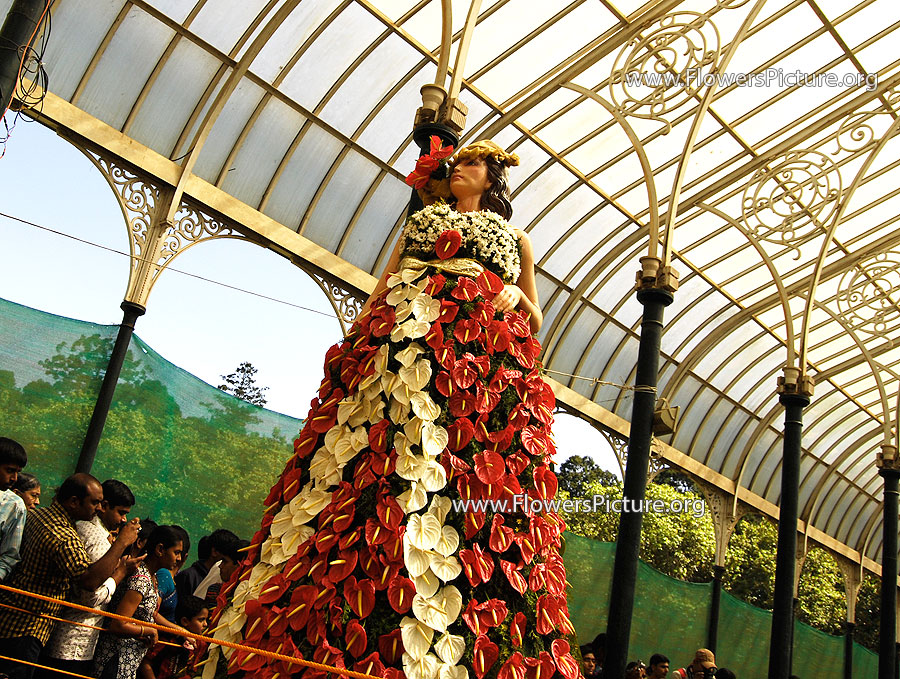 Girl with anthurium flower dress