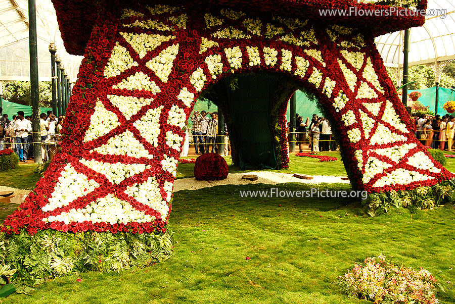 Bottom view-rose flowers tower