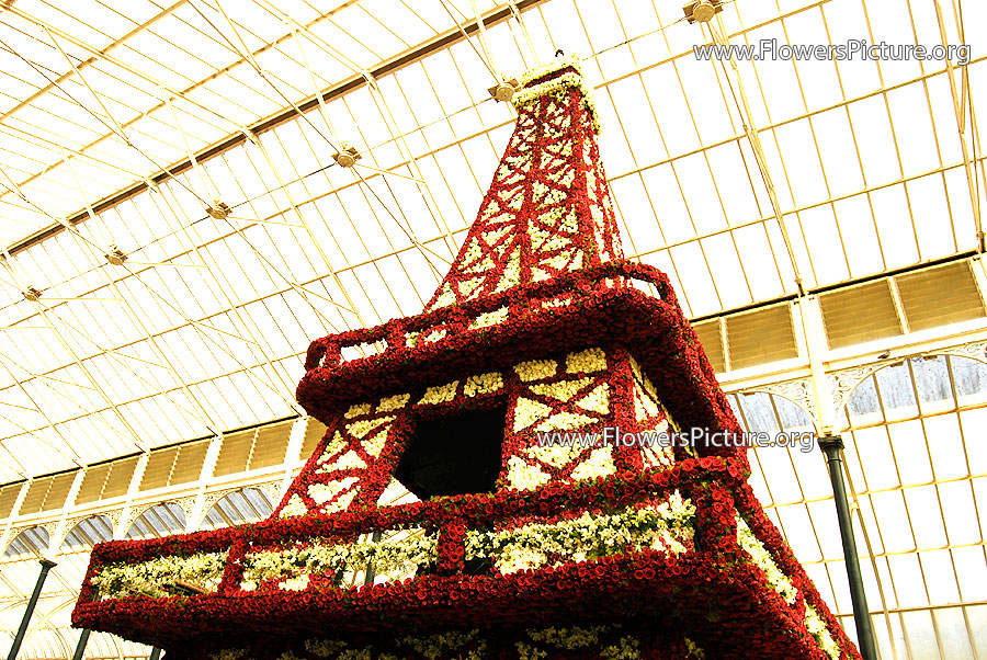 Tower of red & white roses