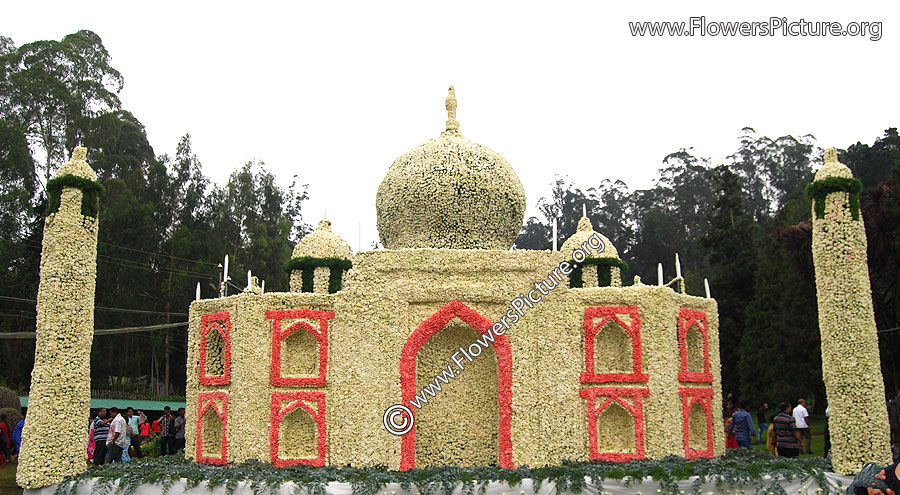 Taj mahal-Agra-1 lakh white rose flowers decoration