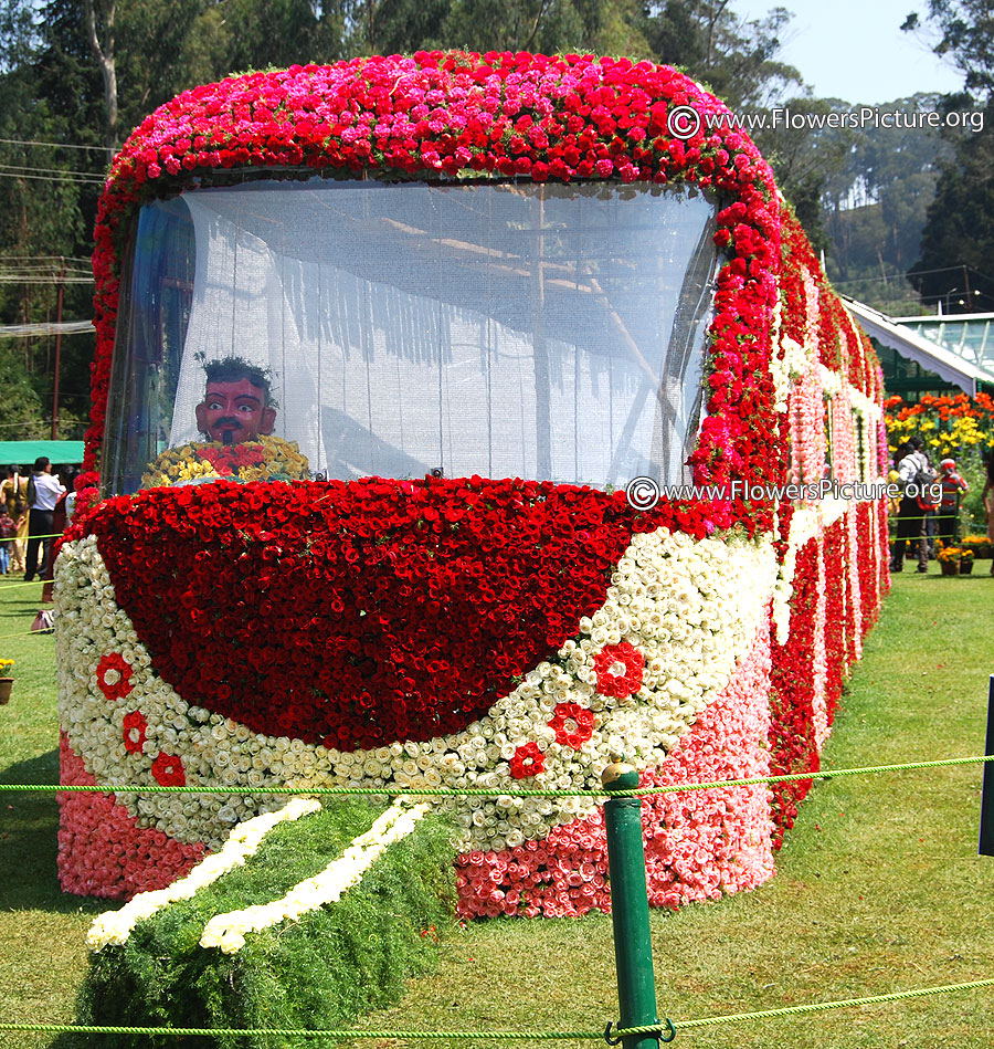 Flower Train