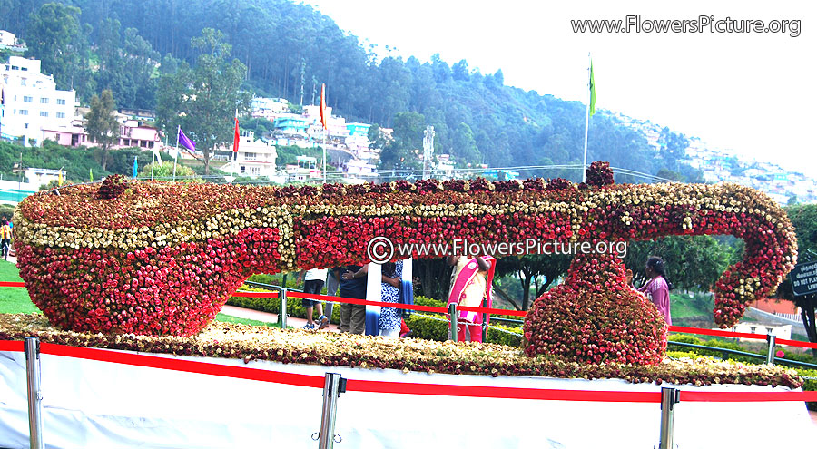 Flower Veena - Rose flower show ooty 2014