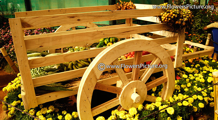 Wooden cart