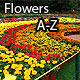 Flowers A to Z