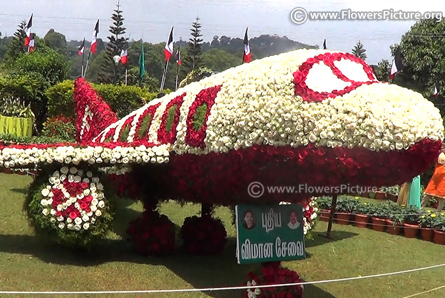 Yercaud flower show 2018-floral flight