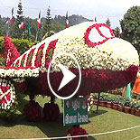 Ooty flower show 2017 video