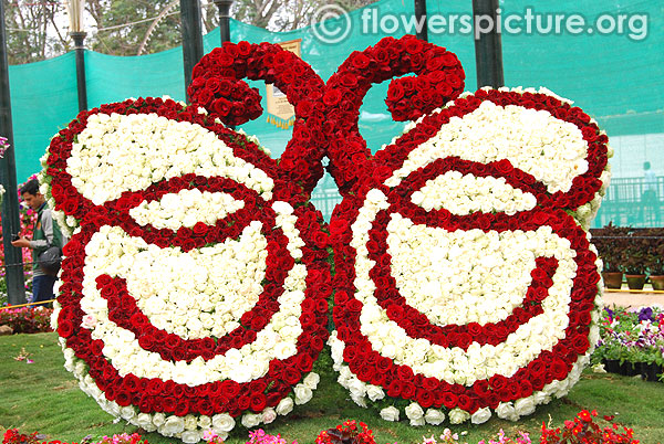 Floral butterfly