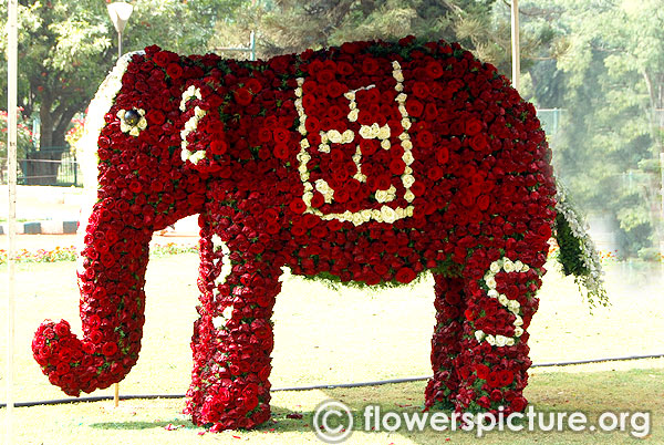 Floral Elephant