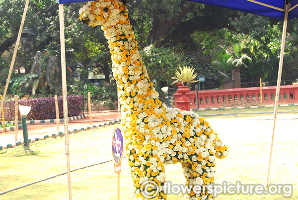 Floral Giraffe