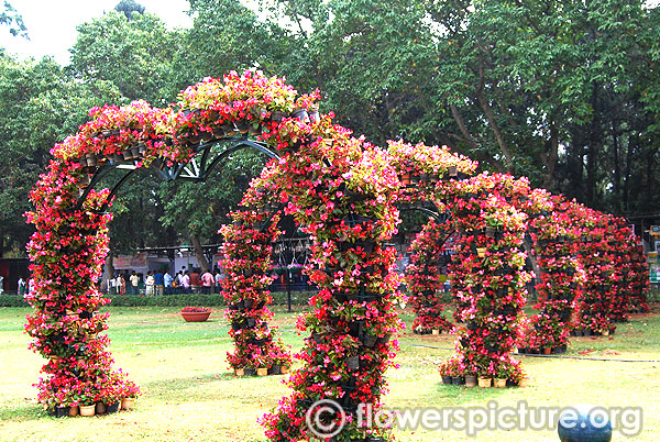 Floral heart