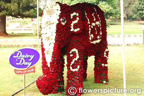 Floral elephant creation