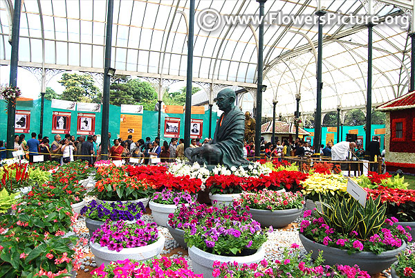 Lalbagh flower show 2019 mahatma gandhi statue