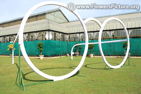 mahatma gandhi eyeglasses lalbagh flower show 2019