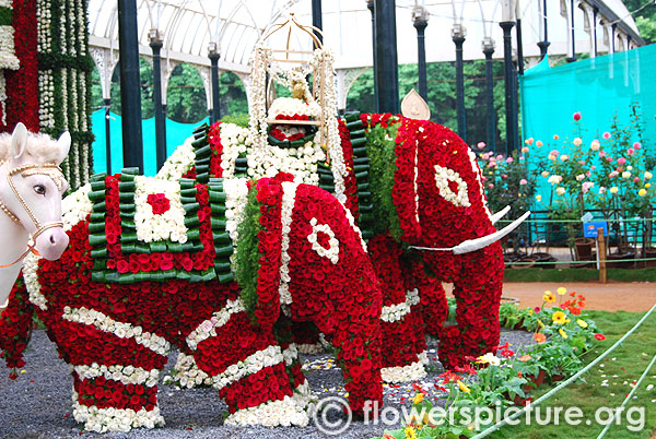 Rose flower elephants