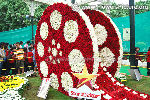 Giant camera film rolls flower creation