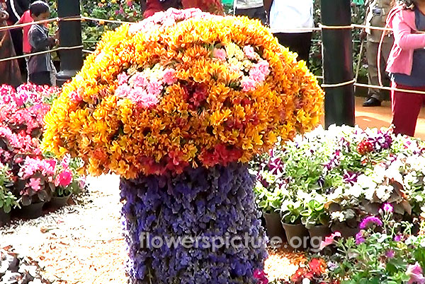 Flower Mushroom