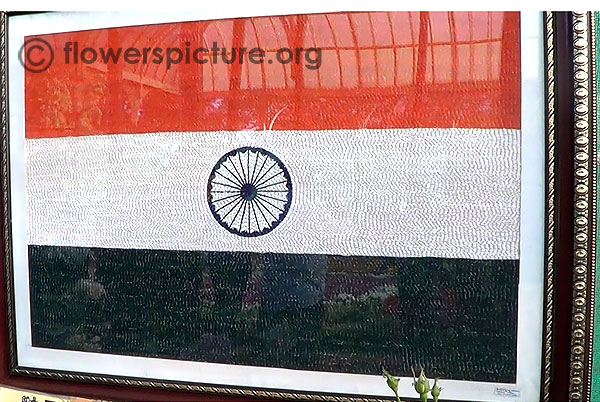 Indian flag creation using rice grains