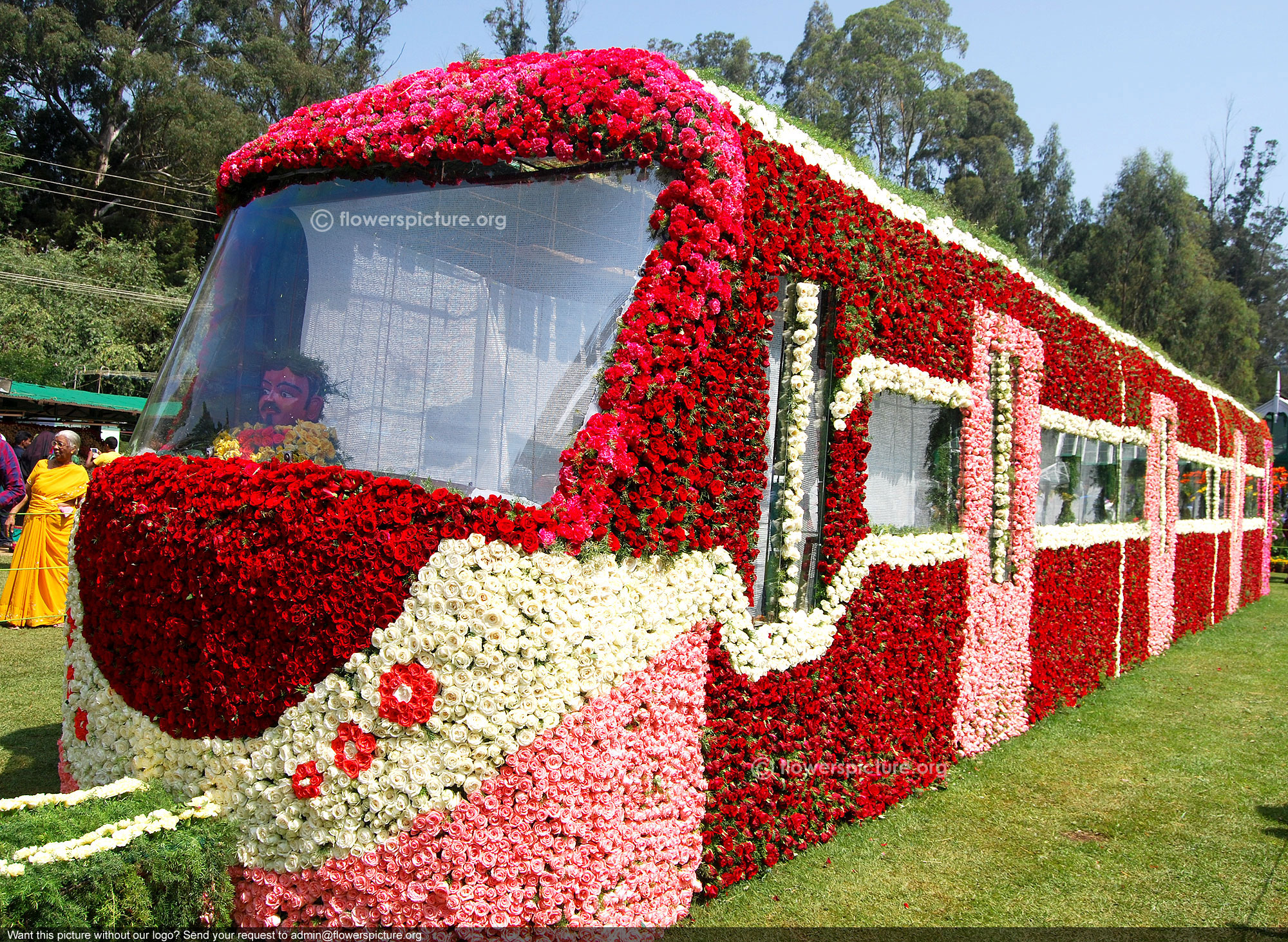 Ooty Flower Show 2014.