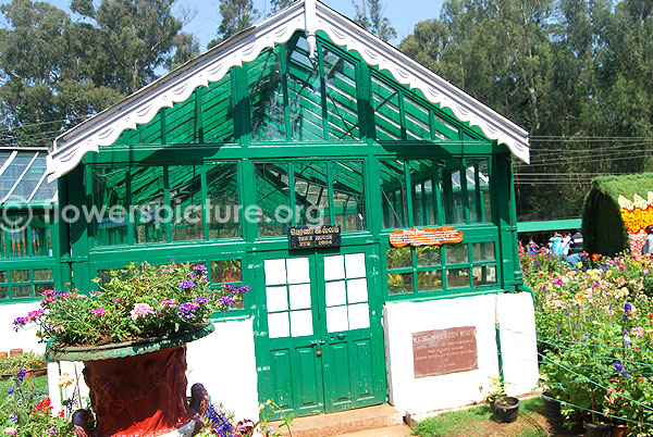 Fern house 1894 botanical garden ooty