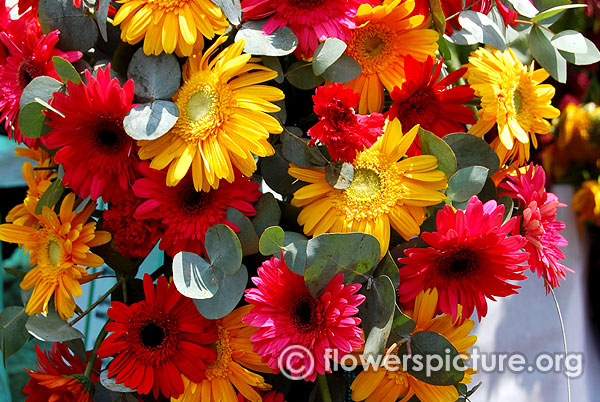 Gerbera and carnation bouquet