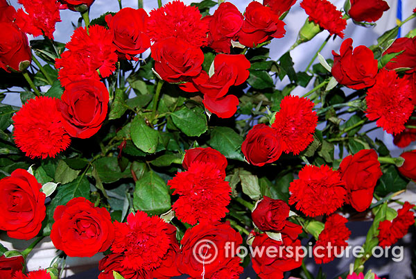 Red carnation and rose bouquet