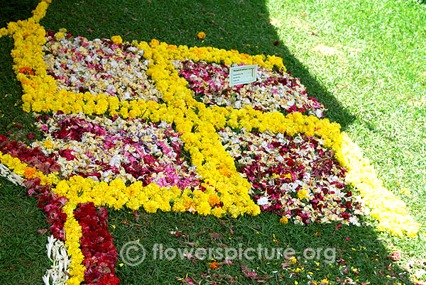 Swastik flower rangoli