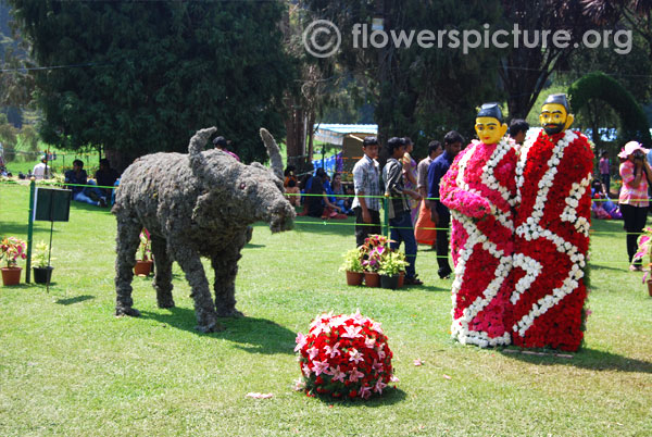 Toda people culture and buffalo