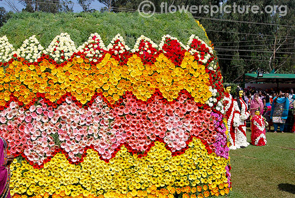 Toda tribe hut side view flower decoration